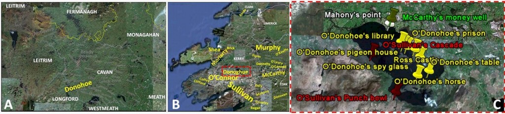 Bar Chart of Irish County Distribution and Map Plots of Placenames for Donohoe test subject.