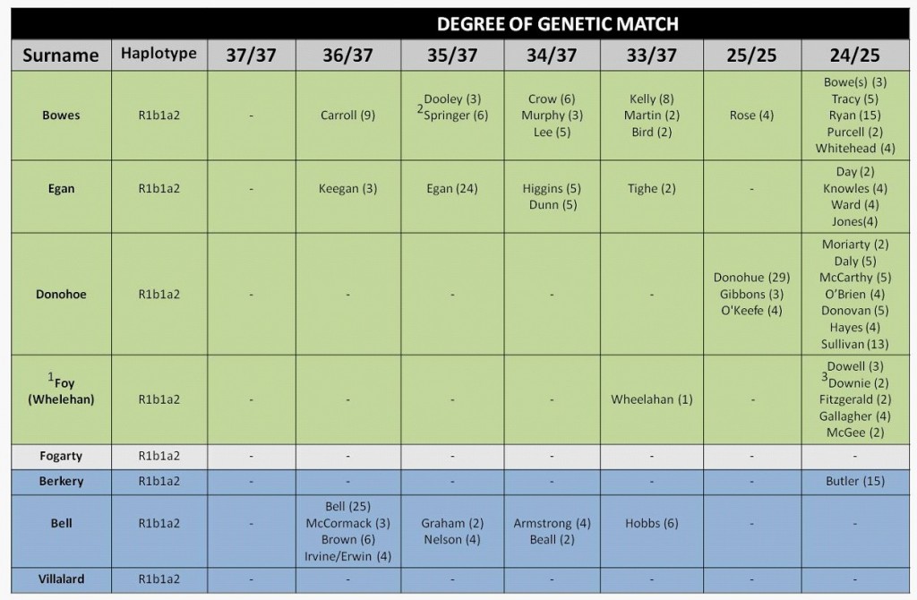 Table of eight test subjects and their closest Y-DNA STR matches.