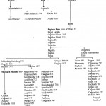 Traditional Genealogy Chart of the Clan Fergus Uladh and the Dal Riada of Ulster by David Austin Larkin