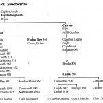 Traditional Genealogy Chart of Ui Fidgheinte Septs from Fiacha Fidgheinte by David Austin Larkin