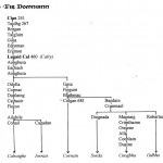 Traditional Genealogy Chart of Domnainn Septs by David Austin Larkin