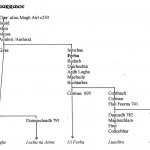 Traditional Genealogy Chart of Ciarraige Septs by David Austin Larkin