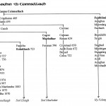 Traditional Genealogy Chart of the Ui Ceinnsellaigh (Kinsella) from Laighin by David Austin Larkin