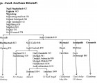 Traditional Pedigree Chart of the Cinel Eoghain of Airleach with descent from Niall Nioghiallach by David Austin Larkin.