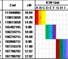 Mixed table and color-graph of Portion of ADSA Triangulation Report for a Non-Jewish Individual