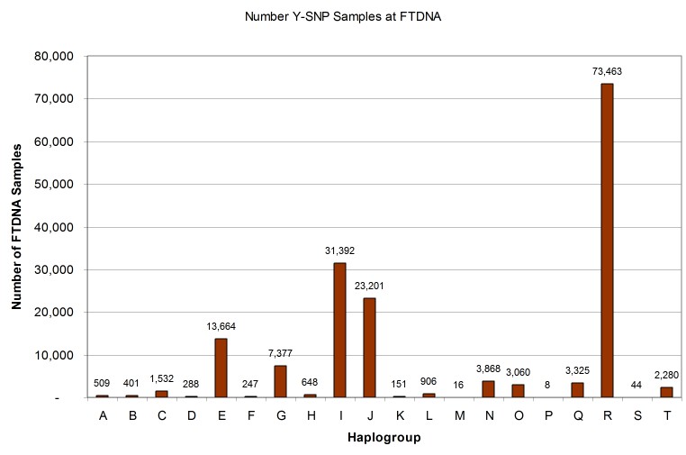 Vertical bar chart of the number of samples by Y-DNA SNP haplogroup at FTDNA as of 27 Feb 2019.